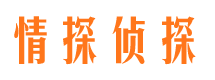 蚌山市侦探调查公司